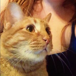 Meet your Posher, Angelina